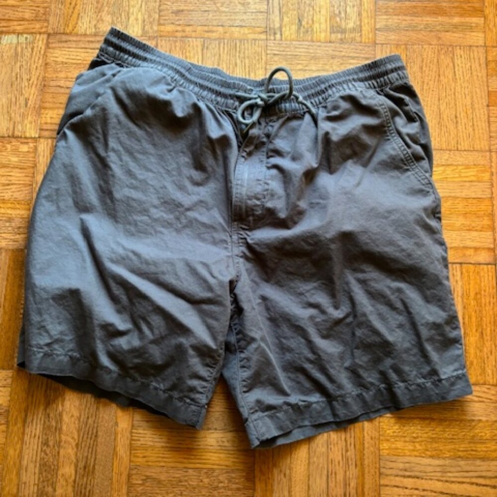 Men's Size Large Patagonia Shorts